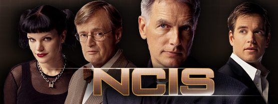 A Year of NCIS